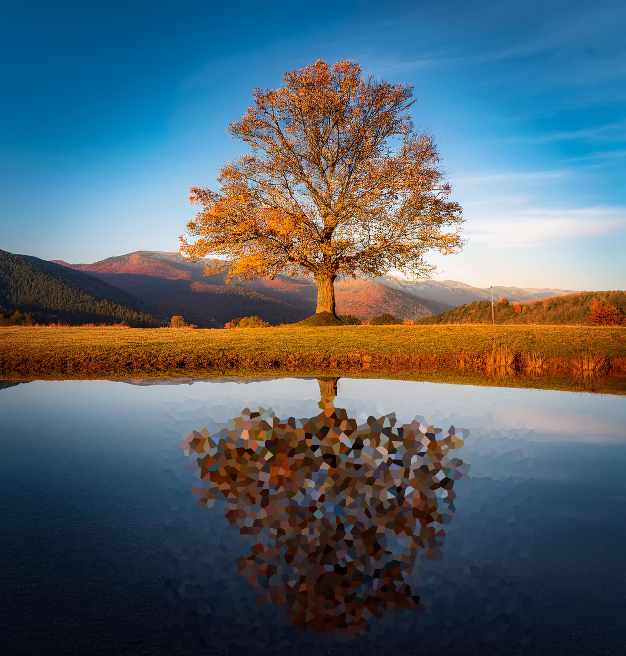 Abstract visualization representing the intersection of technology and human values